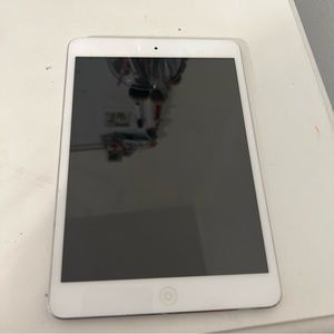 iPad mini 2